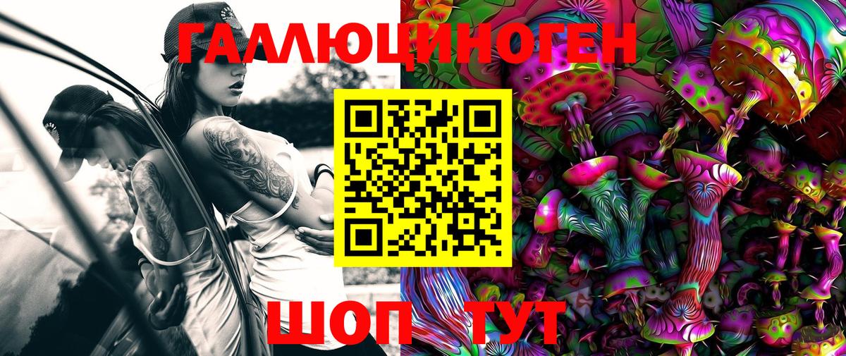 Псилоцибиновые грибы Psilocybe  Вход с VPN  Изобильный 
